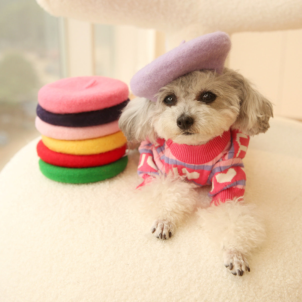 Elegant Pet Beret