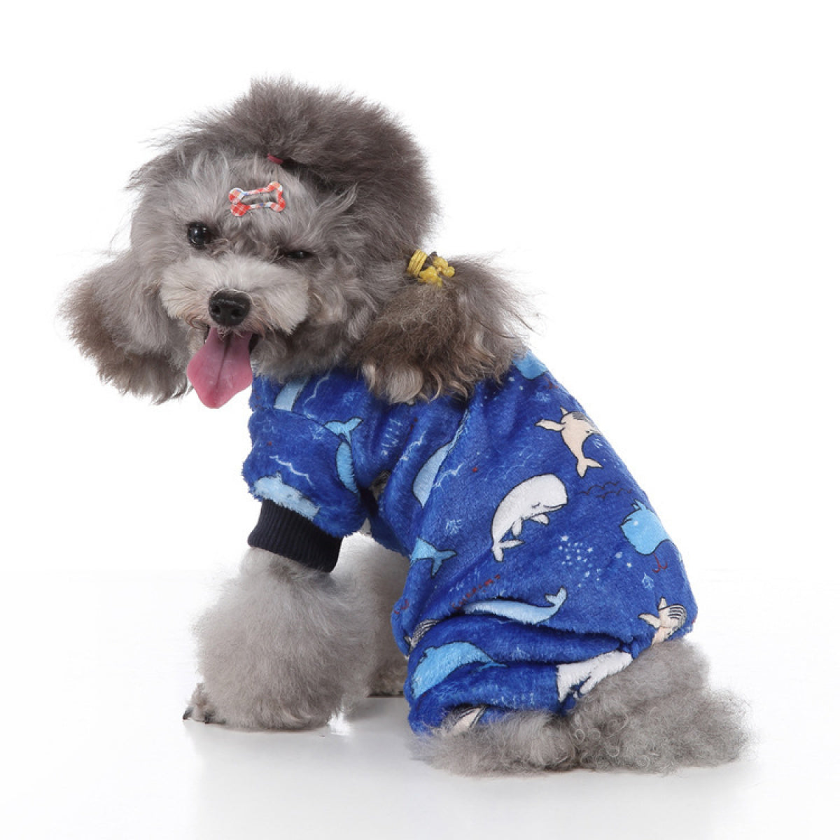 Coral Fleece Pet Loungewear